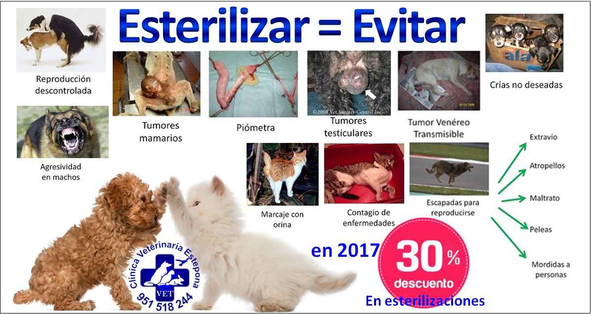 Image Title My Image