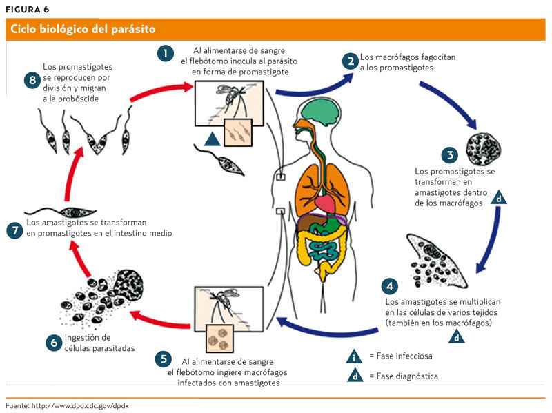 Image Title My Image