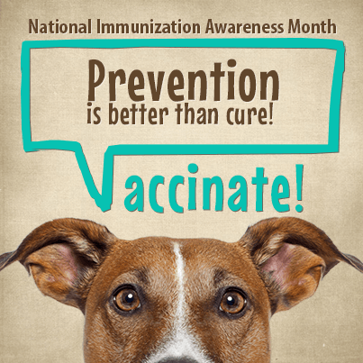 Image Title My Image