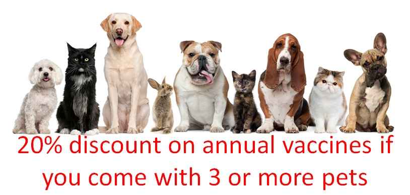 Image Title My Image