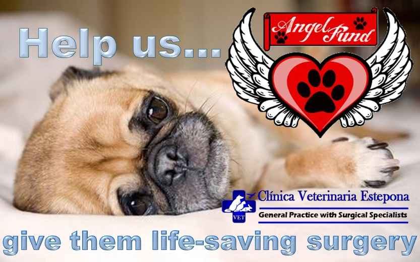 Image Title My Image