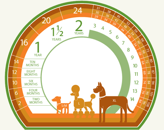 Image Title My Image