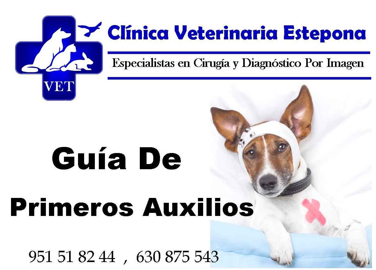 Image Title My Image