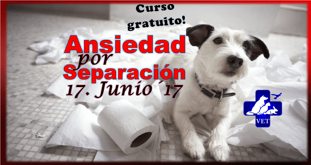 Image Title My Image