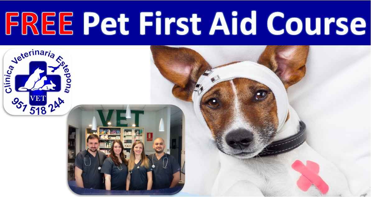 Image Title My Image